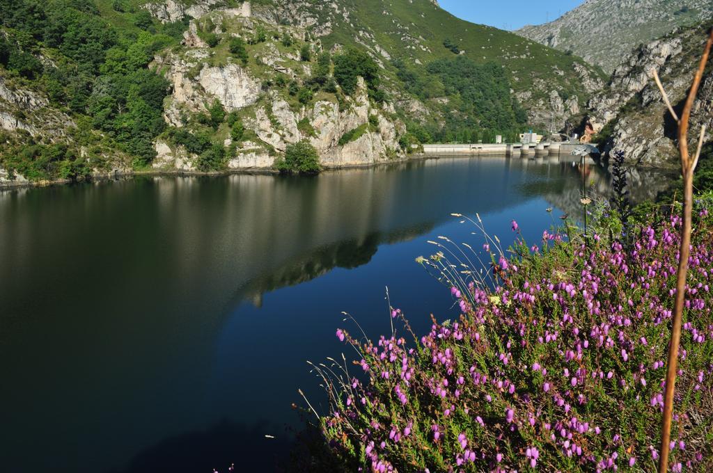 Don Felix Rioseco (Asturias)