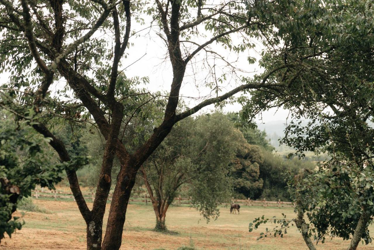Casa De La Pradera Holiday home *