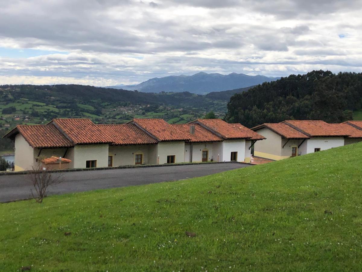 Monterodiles *
