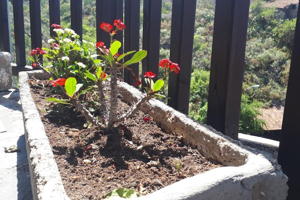 Casa Tia Rosa. Holiday home *