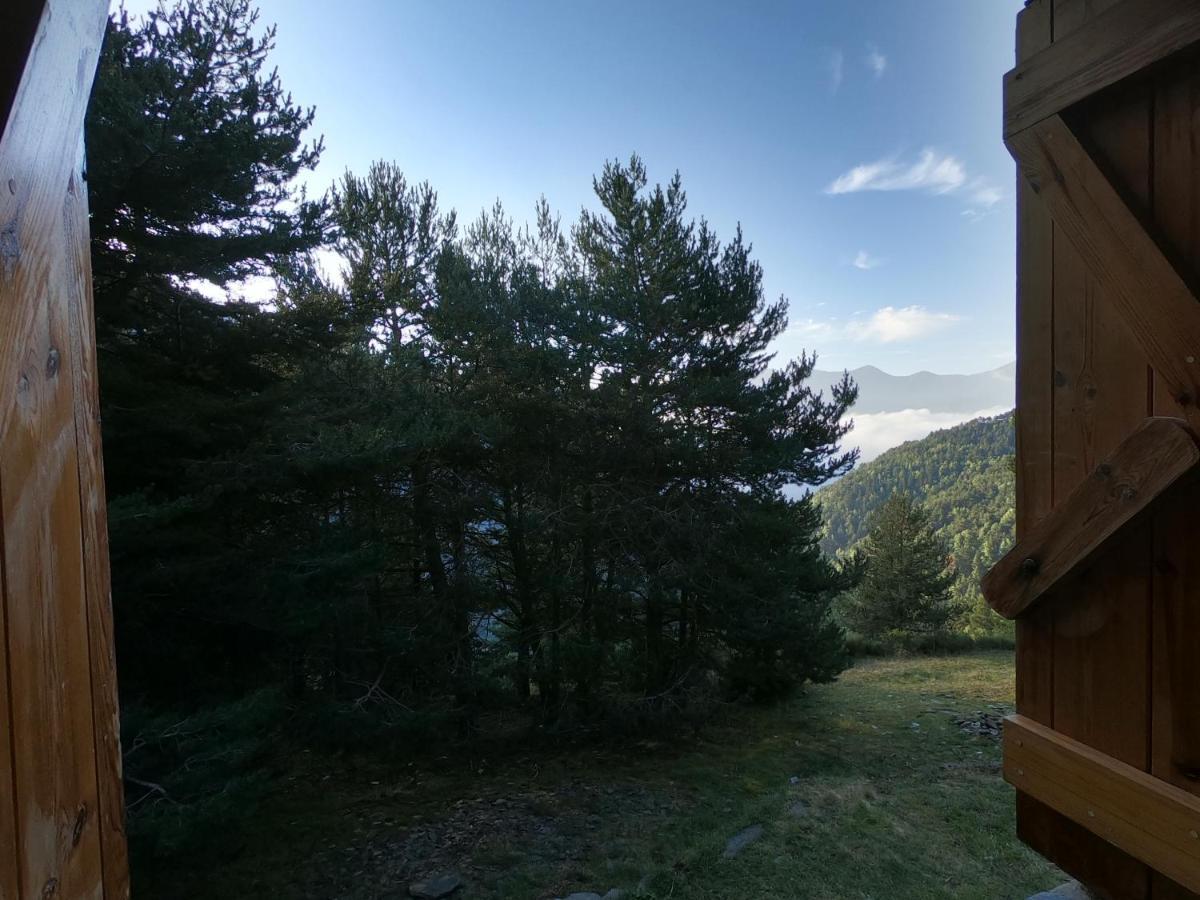 Bordes Pirineu, Pintor *