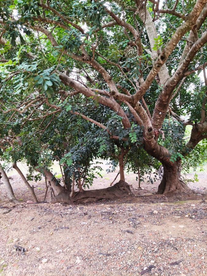 La Rueda Rurales Country house Chulilla