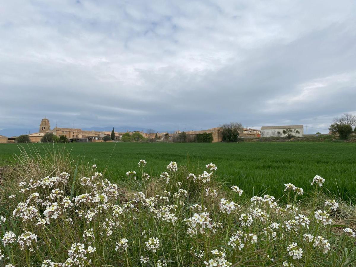 Holiday home Casa Larrosa Rural En Sierra De Guara Sieso de Huesca