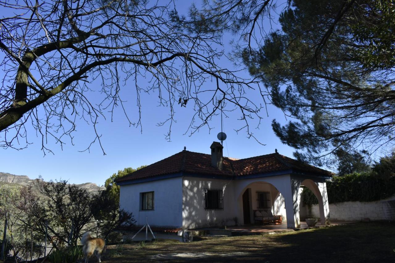 La Casa De Lya *