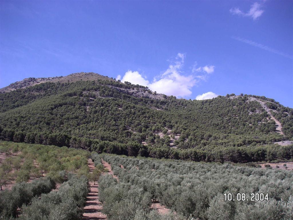 Сasa de vacaciones Country House Huerta Nazari Alomartes