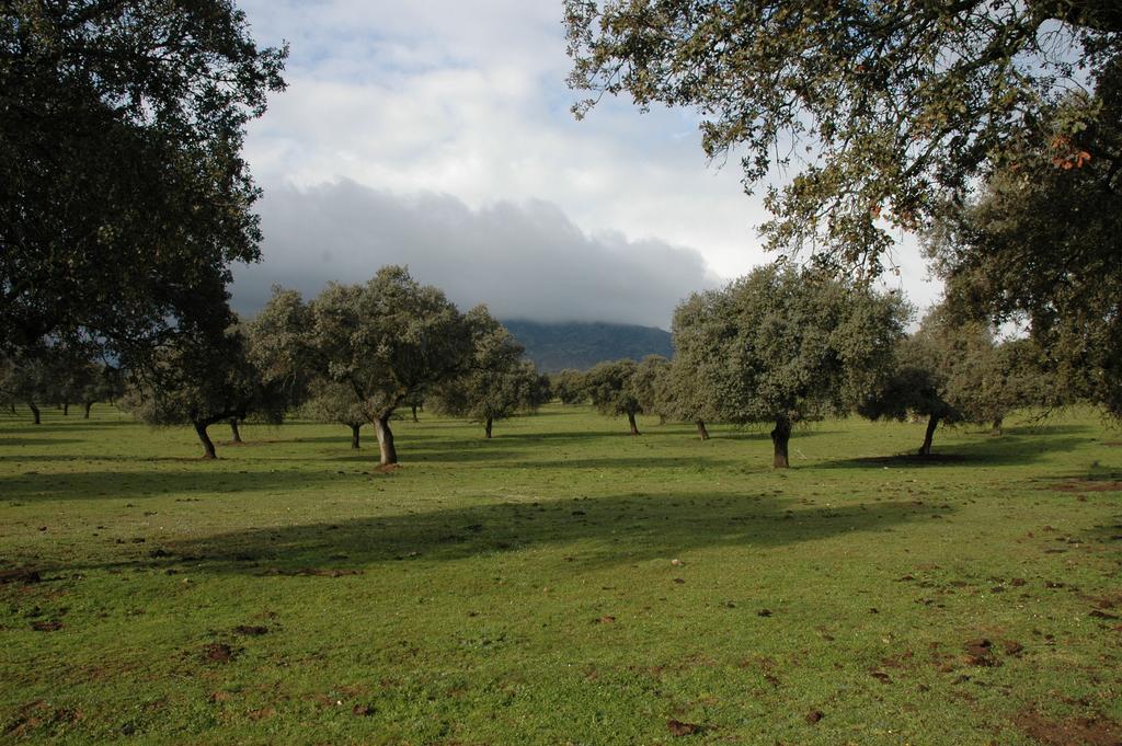 Casa Del Conde