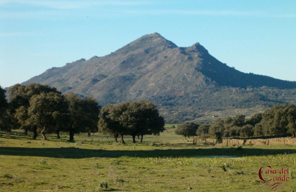 Casa Del Conde * Santa Cruz de la Sierra