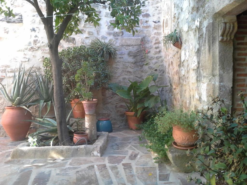 Casa Del Conde *