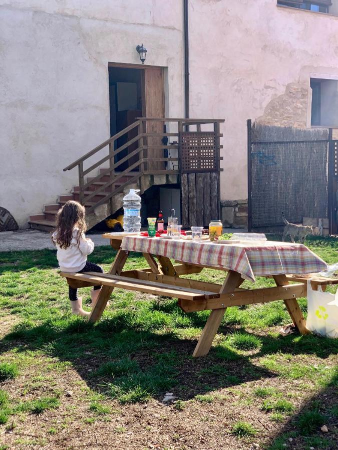 Casa David