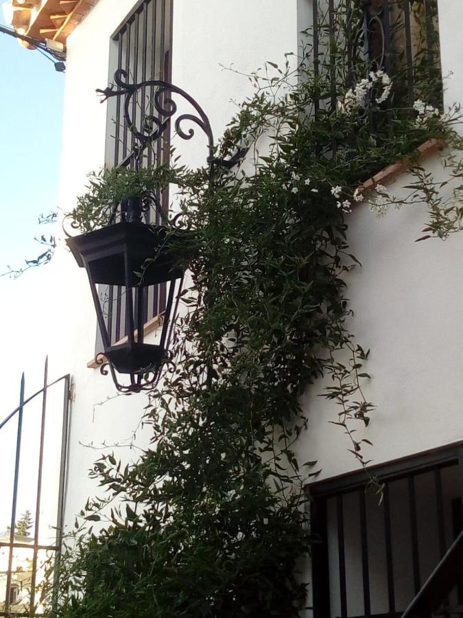 Casa Del Artista Viajero Guest house *