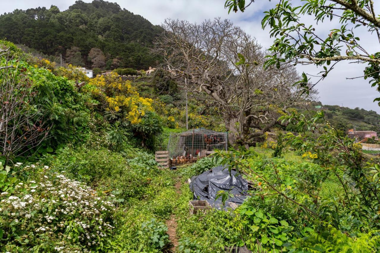 Casa De Cuco Holiday home Villa de Mazo