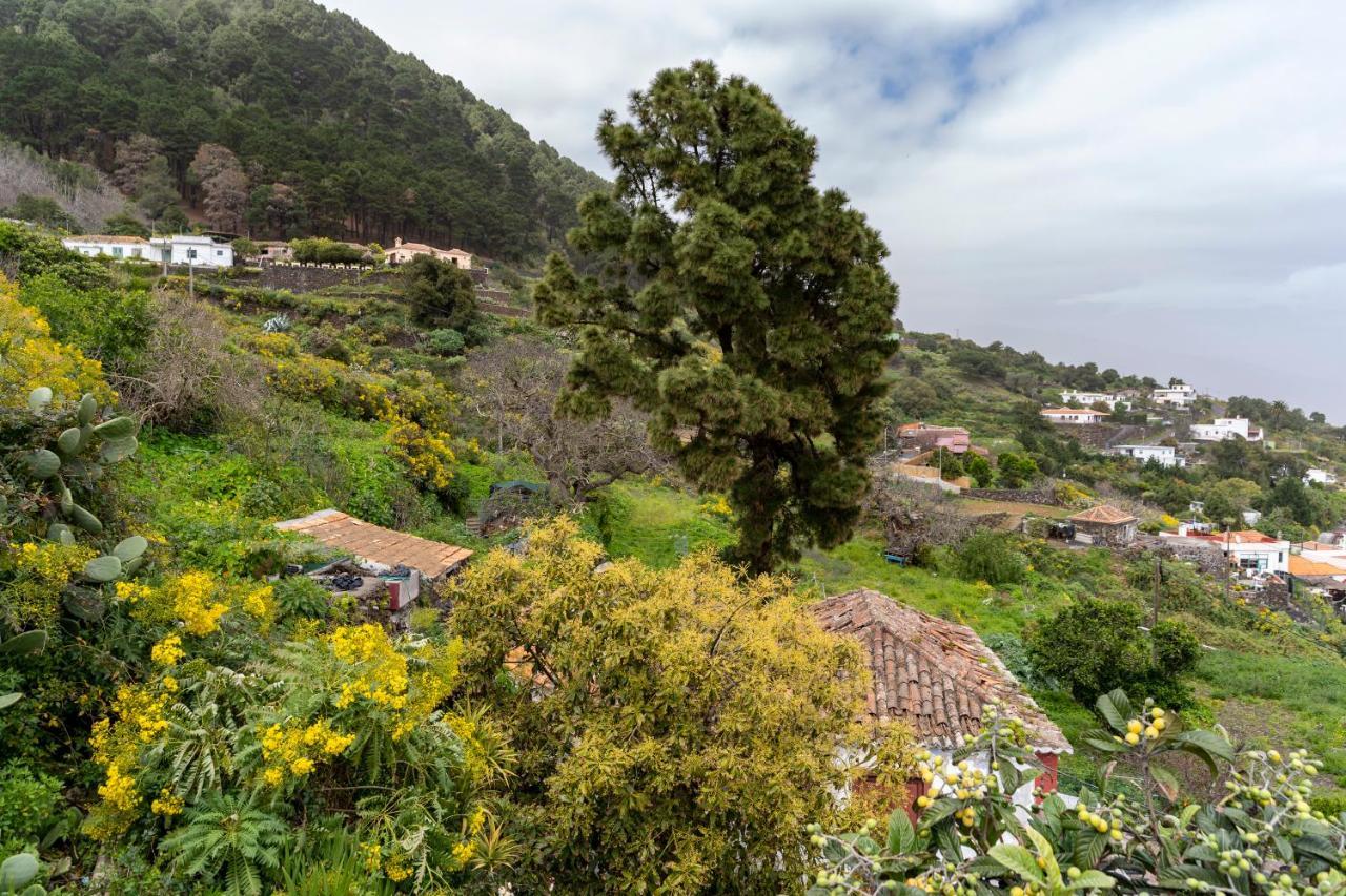 Casa De Cuco *
