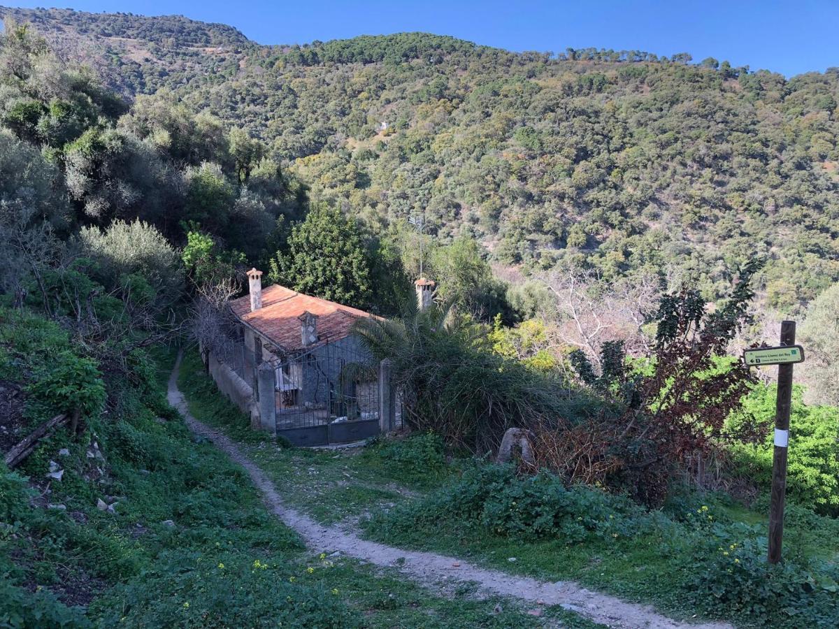Molino De Santos Holiday home Benarraba