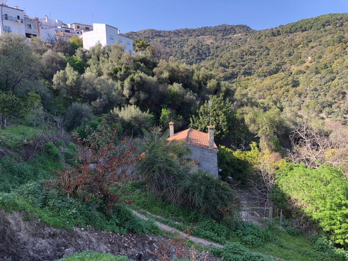 Molino De Santos