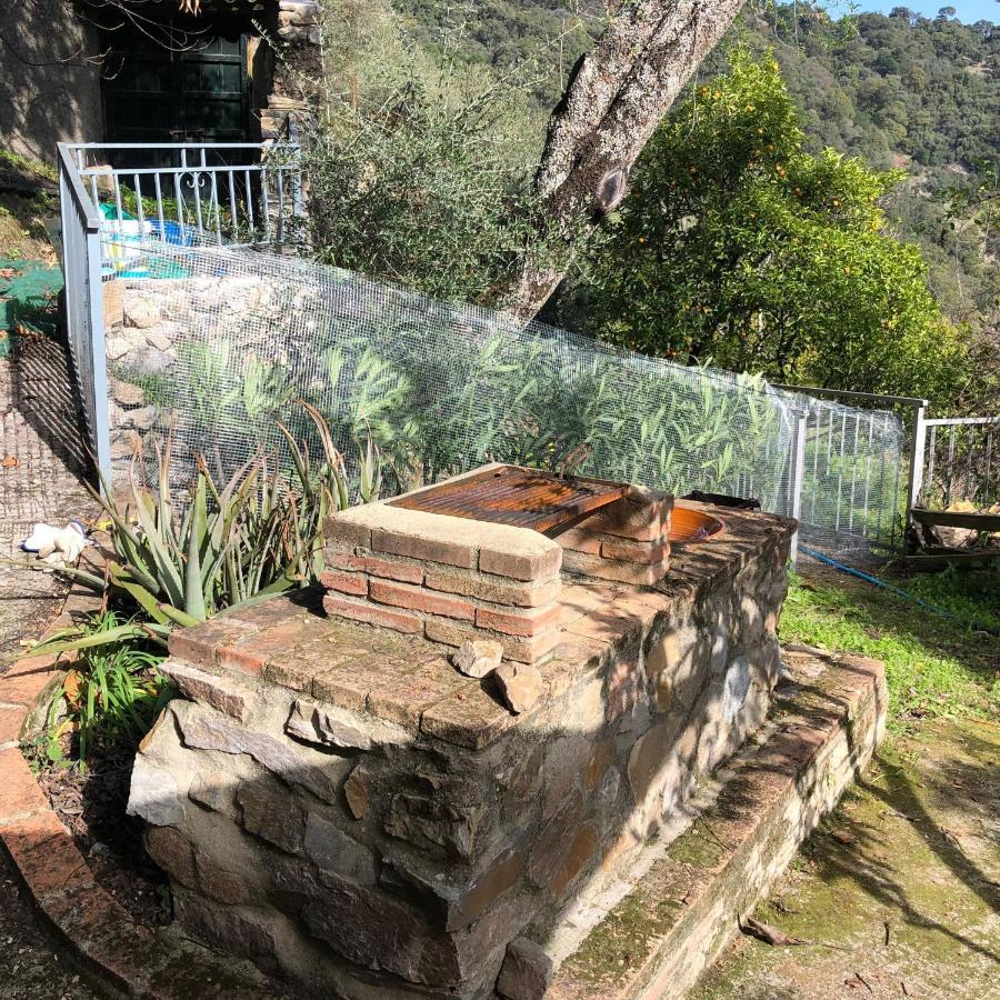 Molino De Santos Holiday home Benarraba
