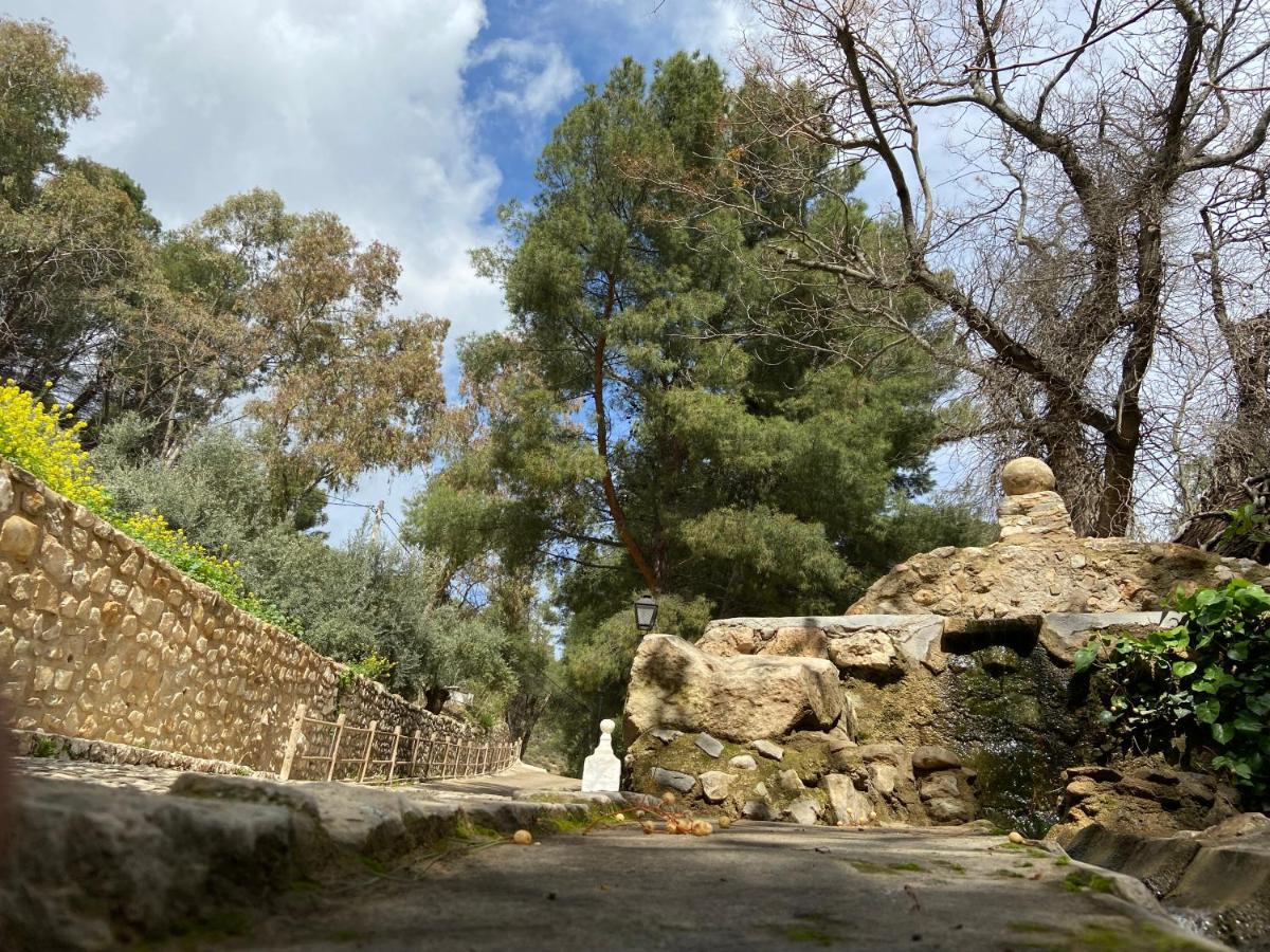 Rural De Cuadros Bedmar y Garciez