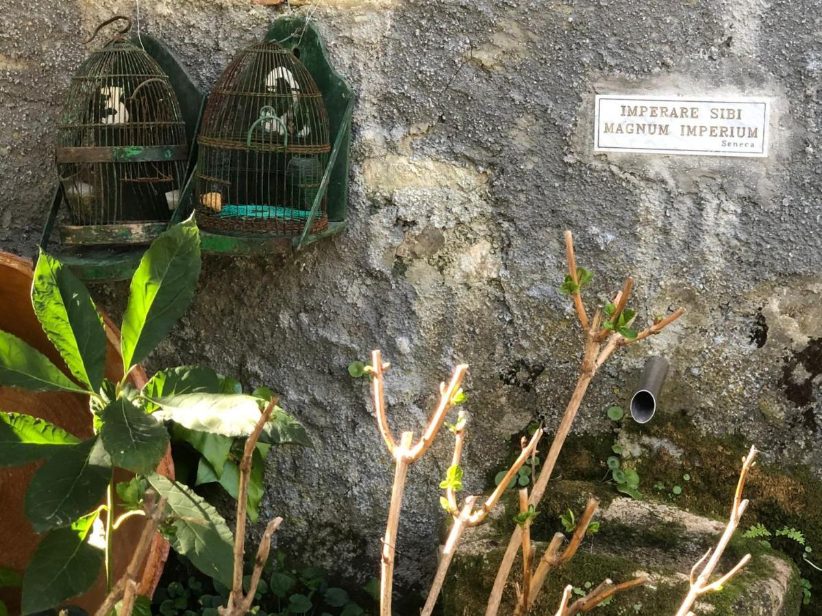 Molino De Santos Holiday home *