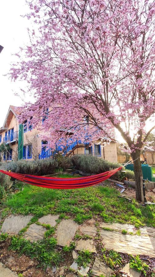 De Peregrinos Casa Flor Hostel