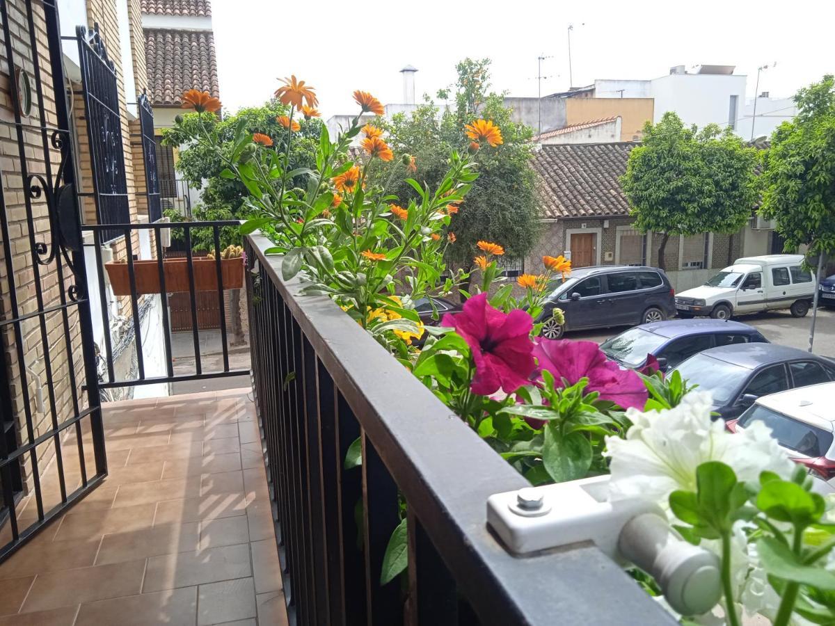 Casa Violeta Apartamento Córdoba