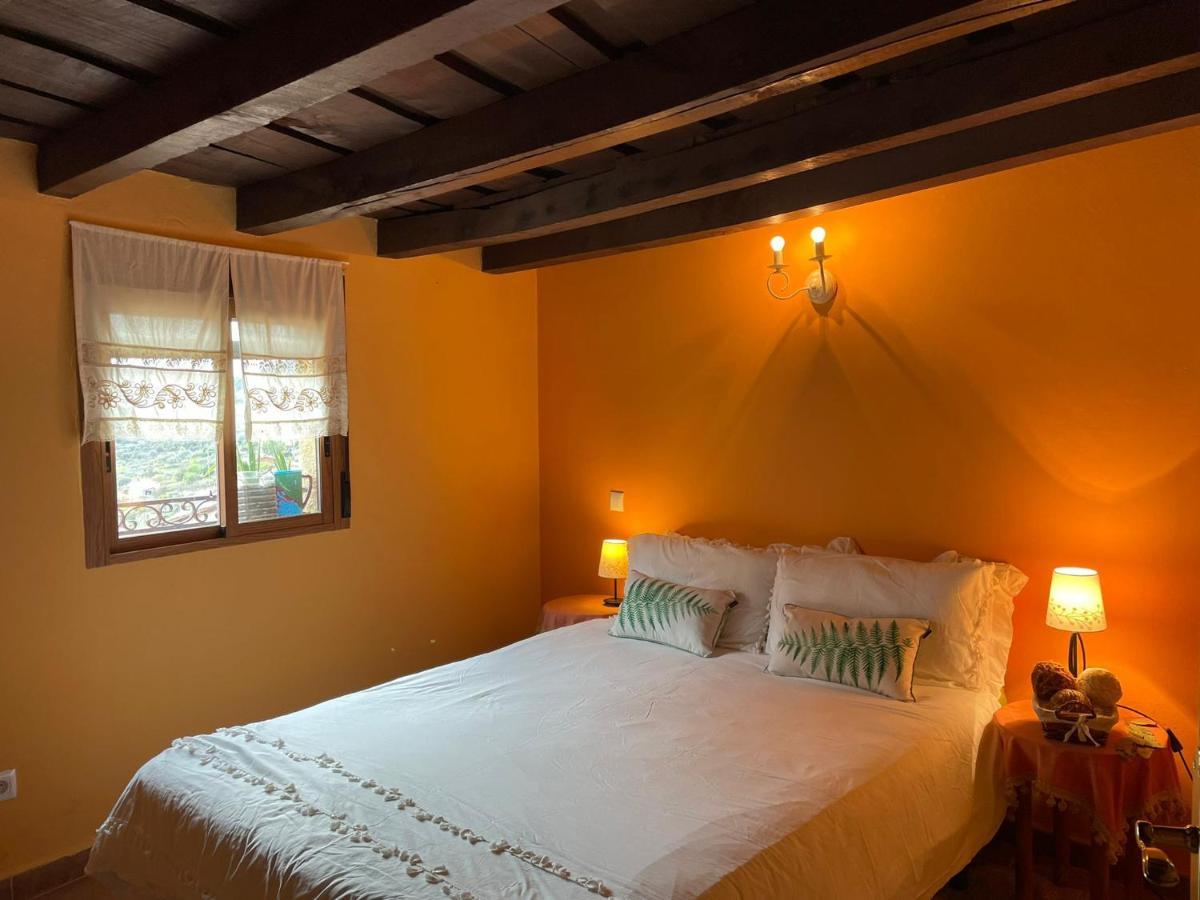Casa Artista *