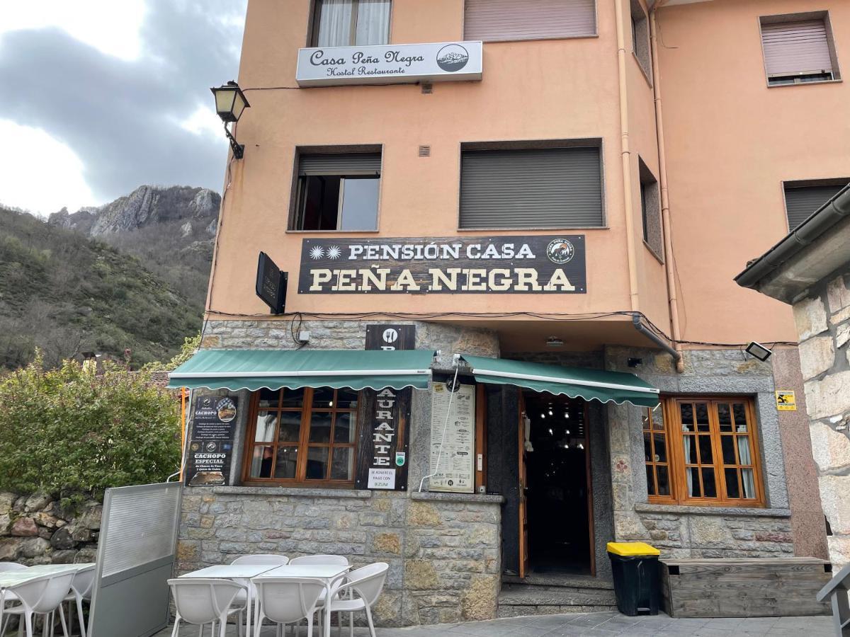 Pensión Casa Peña Negra