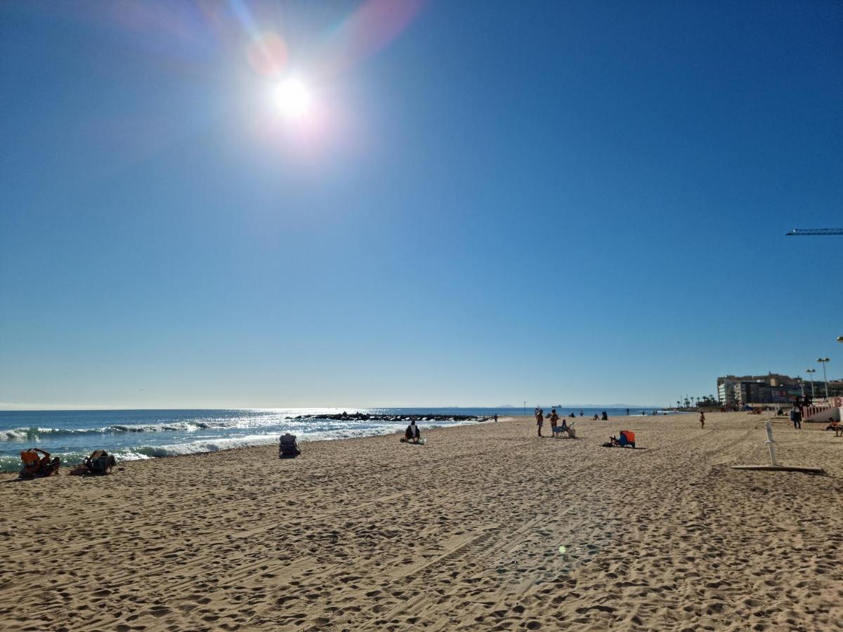 Cozy 200m From The Torrevieja