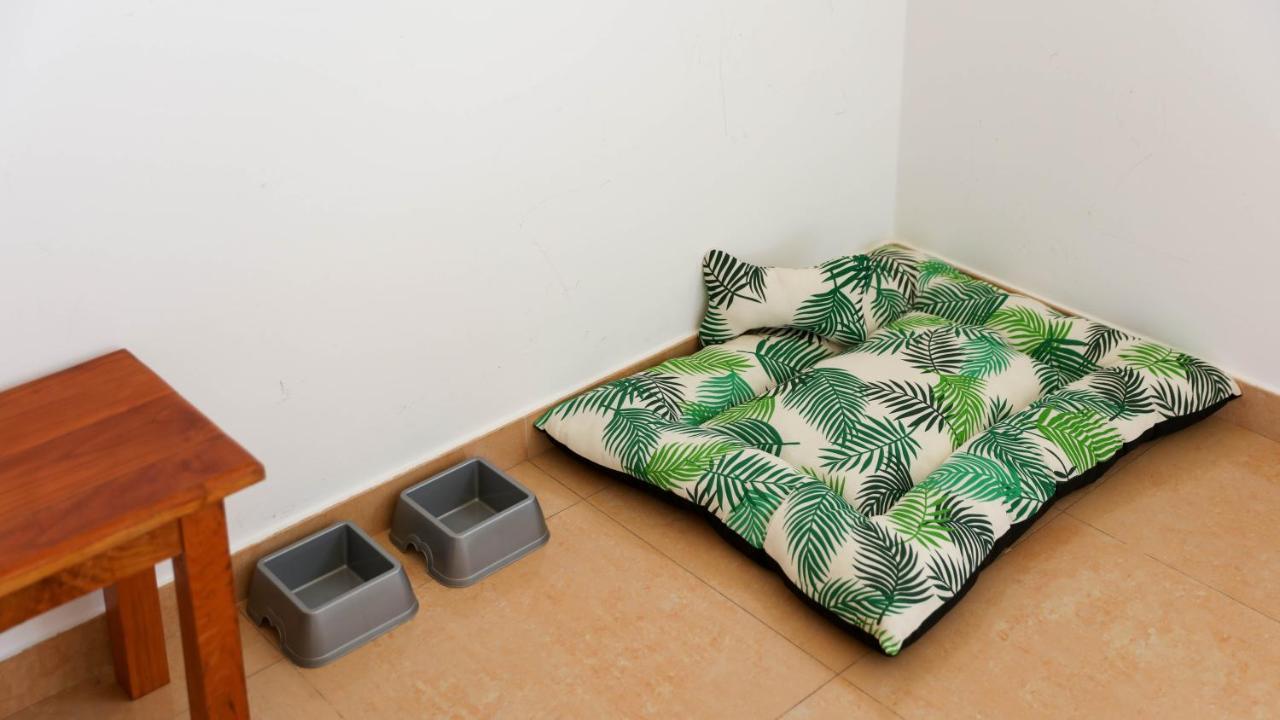 Guest house El Caminante *