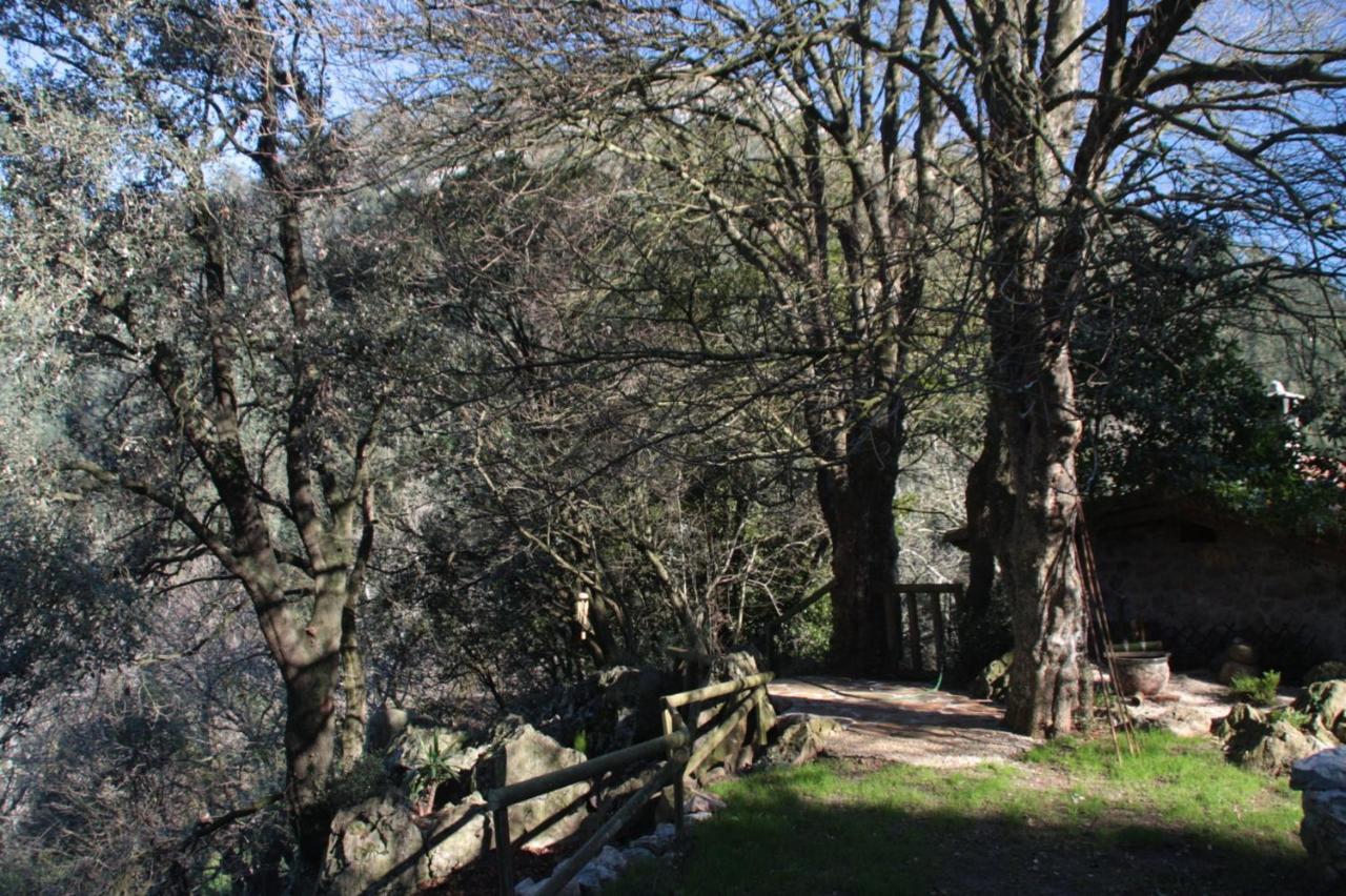 Domocantabria Сasa de vacaciones Sobremazas