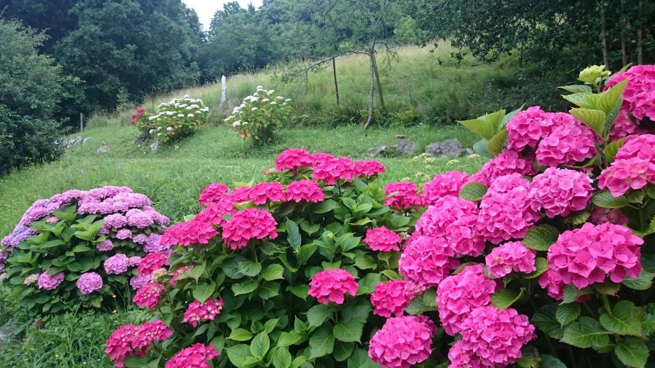 Domocantabria