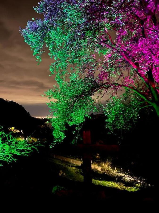 Domocantabria