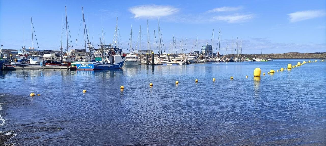 Sunny-harbour