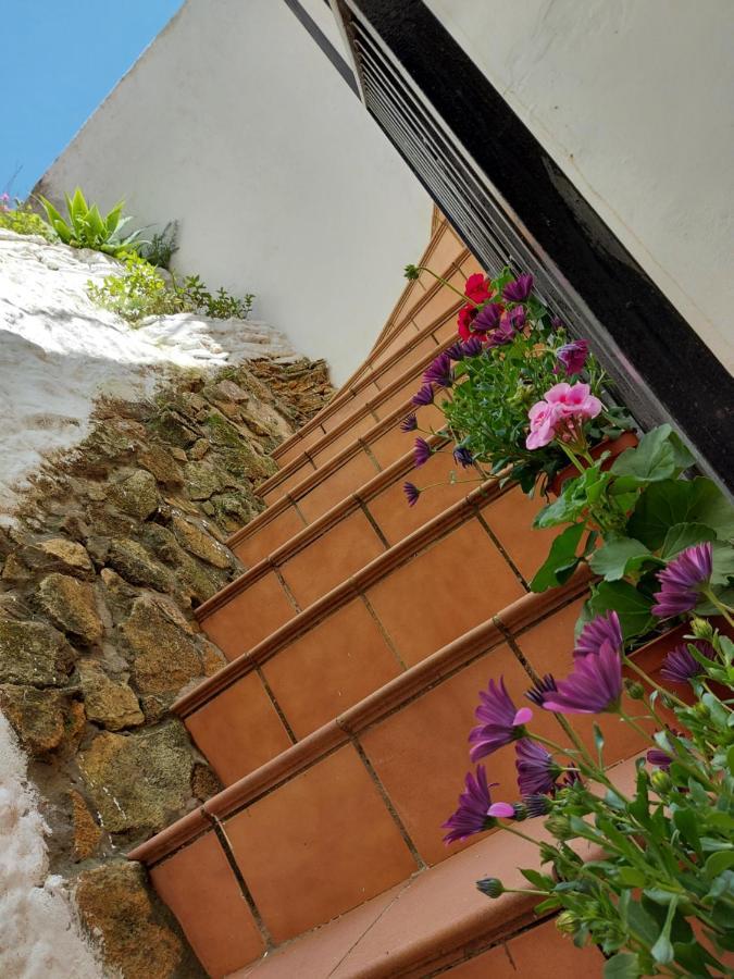 Casa La Abuela Remedios Сasa de vacaciones Olvera