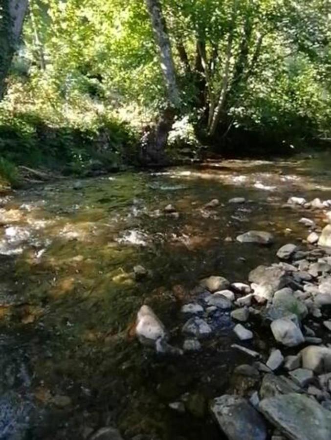 Rurales Asturias Apartamento *