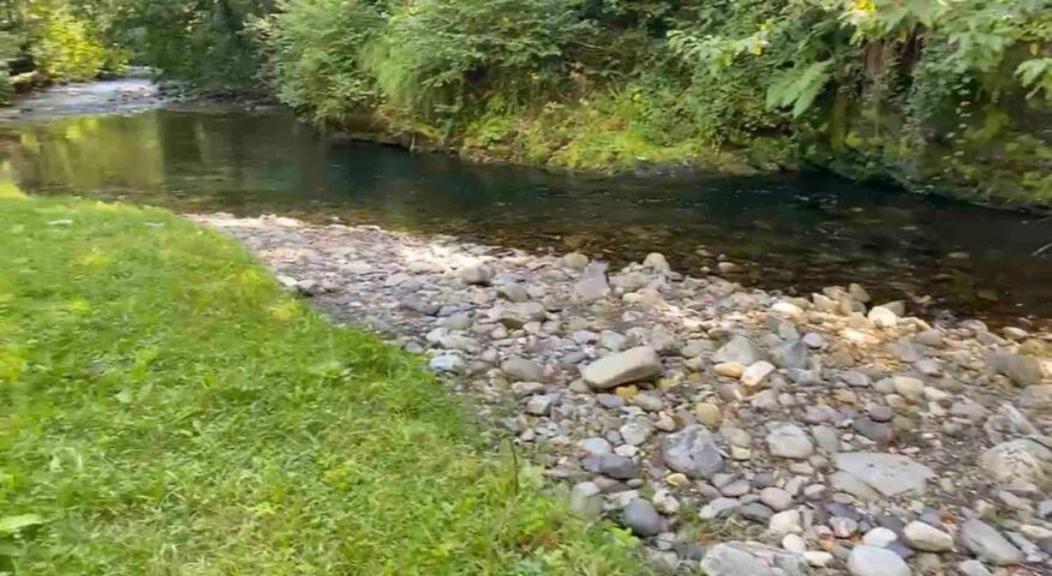 Rurales Asturias *