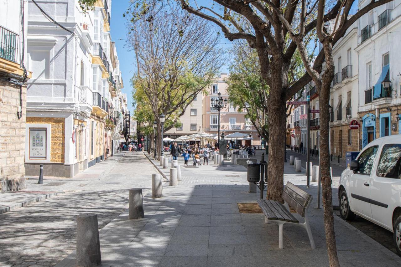 Apartamento La Terraza De La Araucaria - Apartamento Cádiz
