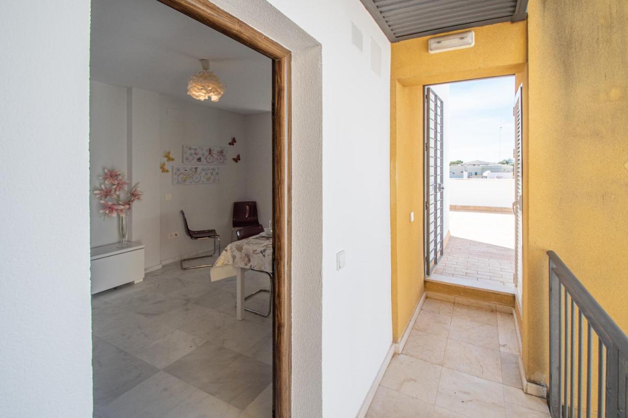Apartamento La Terraza De La Araucaria - Cádiz