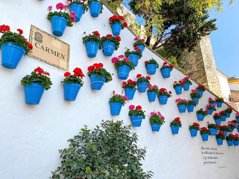 Idyllic Townhouse In Old Town Holiday home