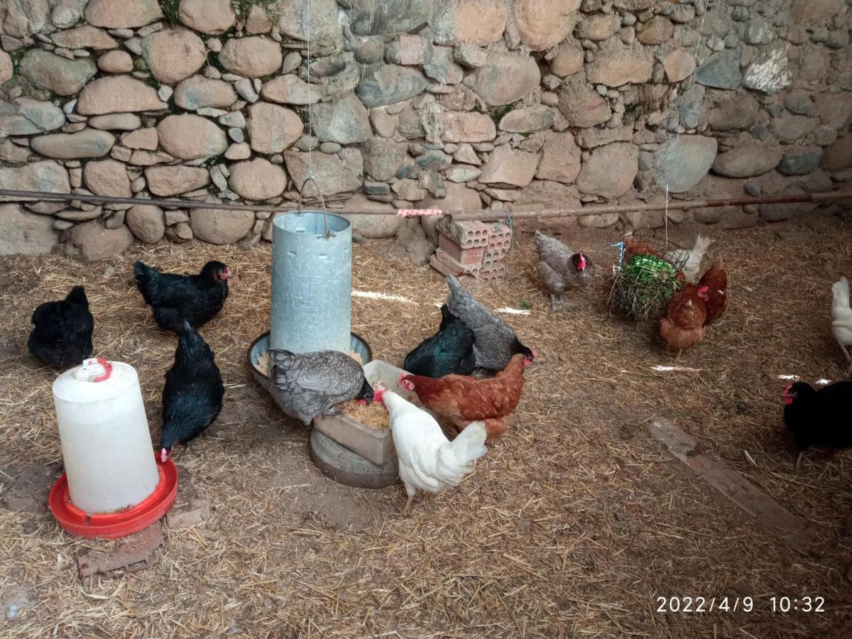 Casa rural Cal Xico Adrall