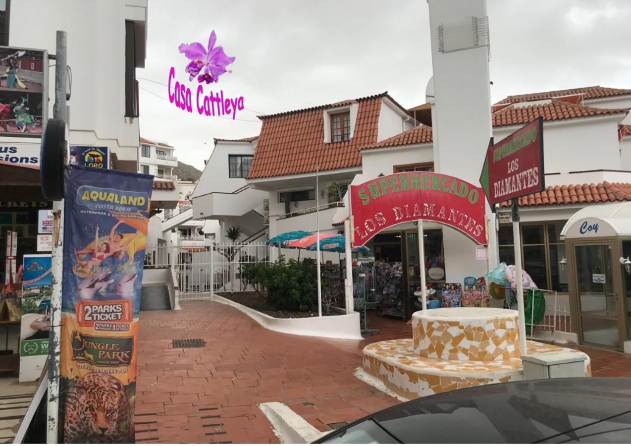 Casa Cattleya