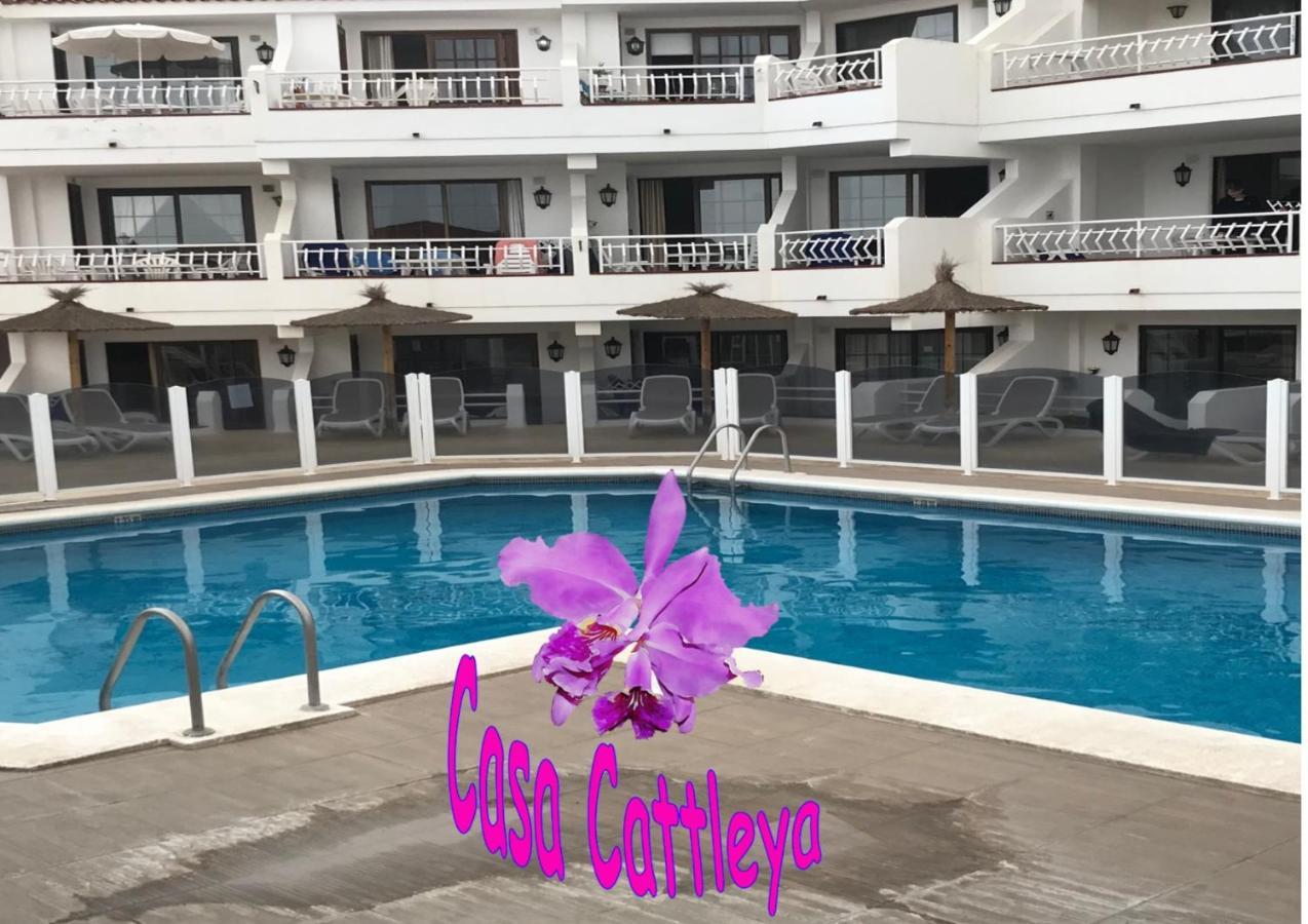 Casa Cattleya Apartment *