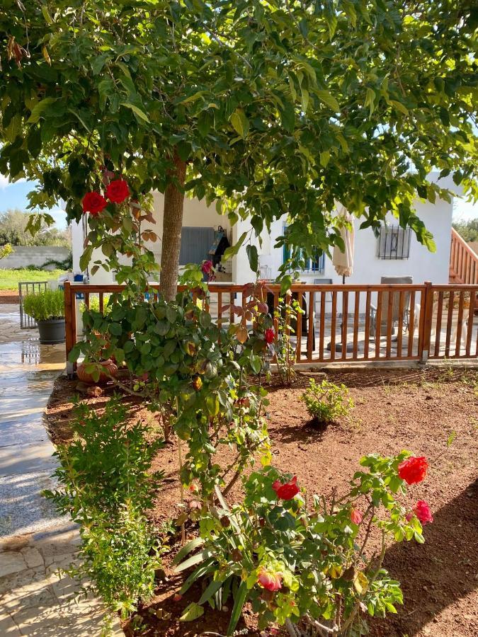 Casa Dominaty Bed & Breakfast Calig