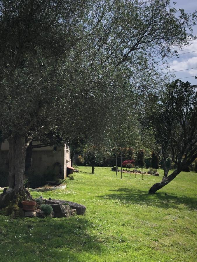 Cerquide3