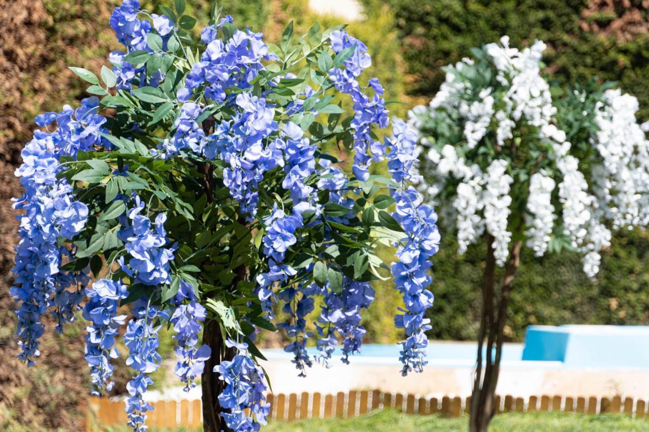 Lujosa Privada Con Piscina Villa