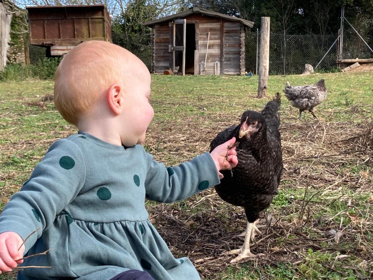 Country house Mas La Ginesta - Ideal Per Families Amb Infants