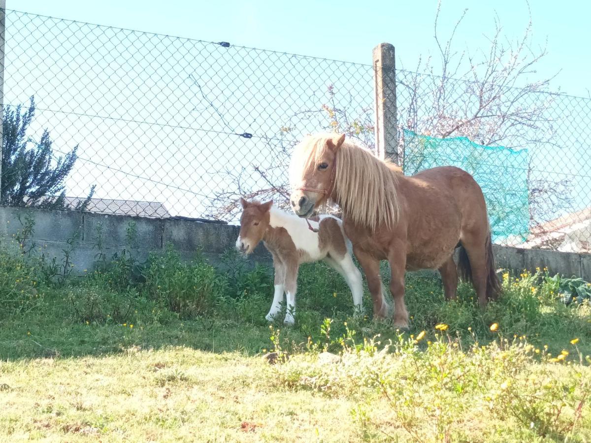 Casa Romina I Сasa de vacaciones *