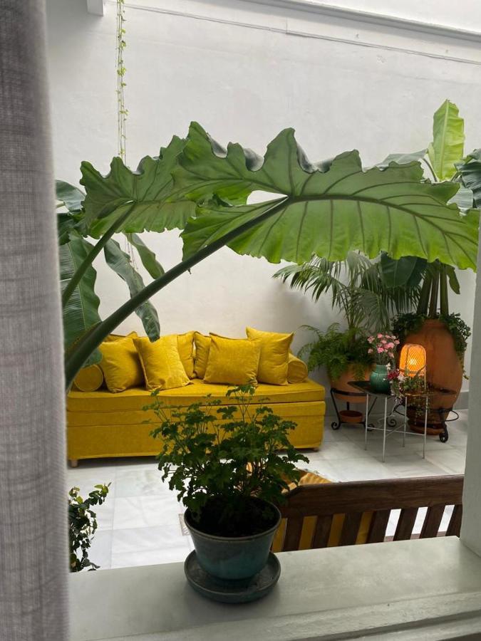 Pensión El Banano Home