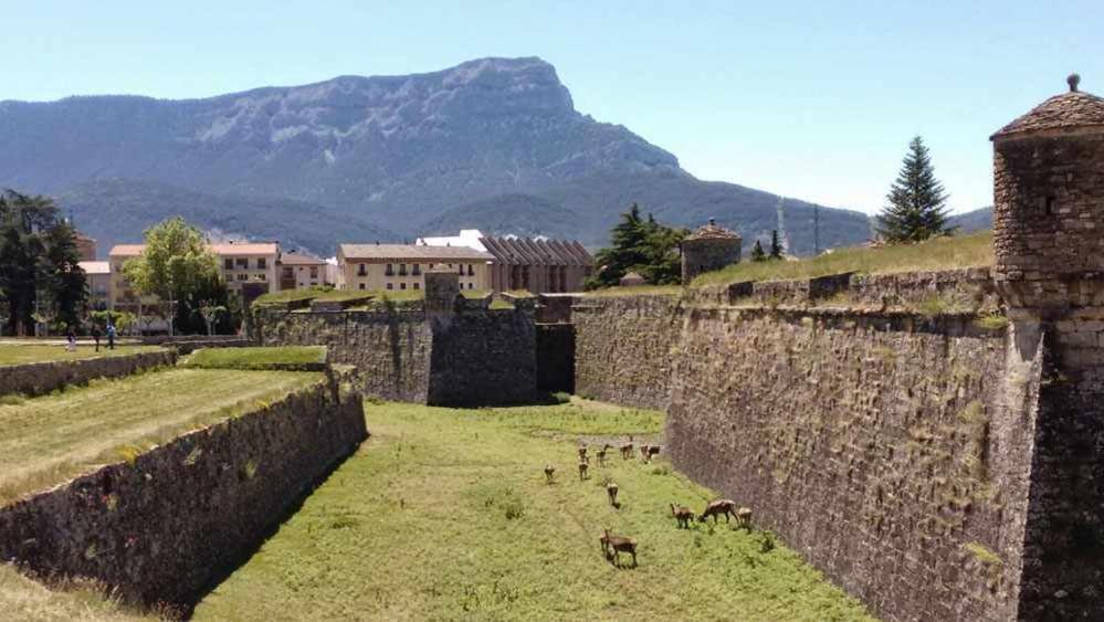 Apartamento Aledanos Apartment Jaca