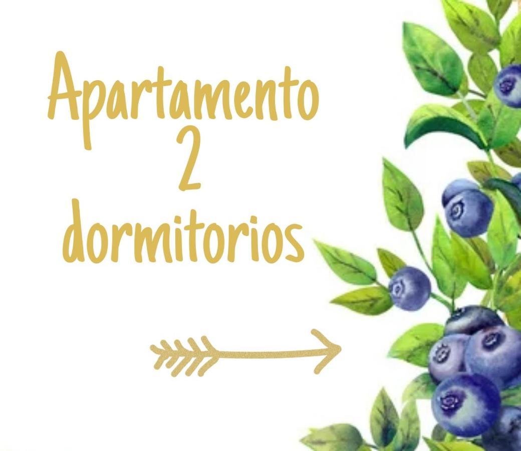 La Arandanera Apartamento