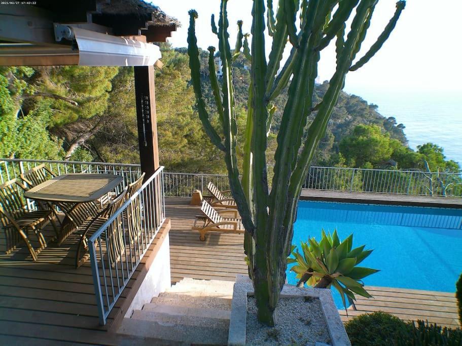 Terraza Al Mar Guest house