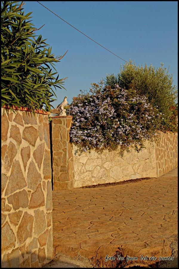 Mi Oasis Holiday home *